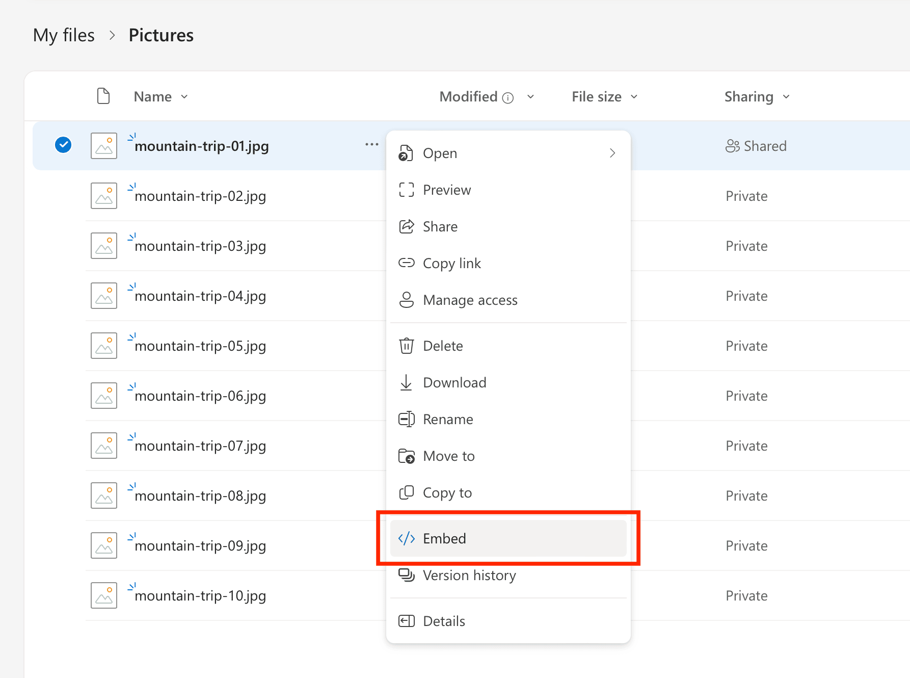 Embed image from OneDrive
